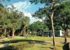 公園反成嫌惡設施？ 他直言：「這問題」就是個災難