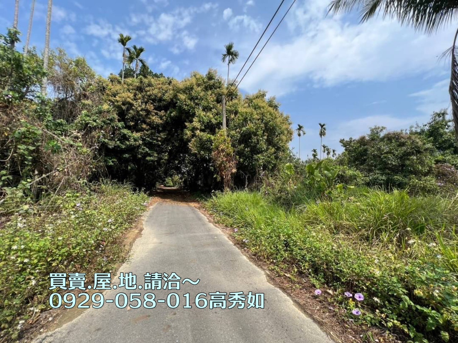 ❗️急售 近台三線平坦農地番路農地