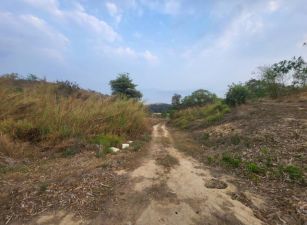 關廟湖畔秘境農地