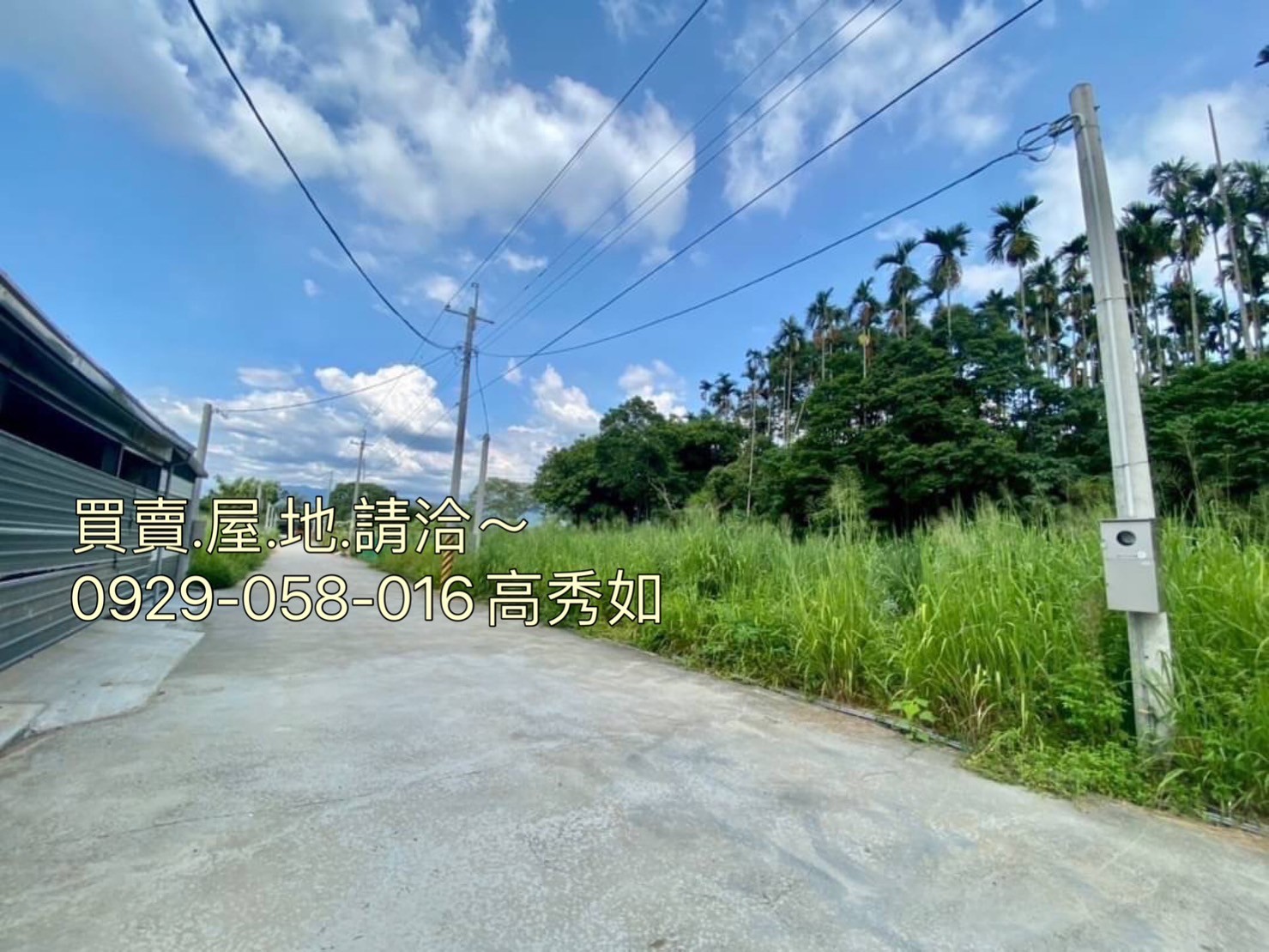 嘉市大雅路農地