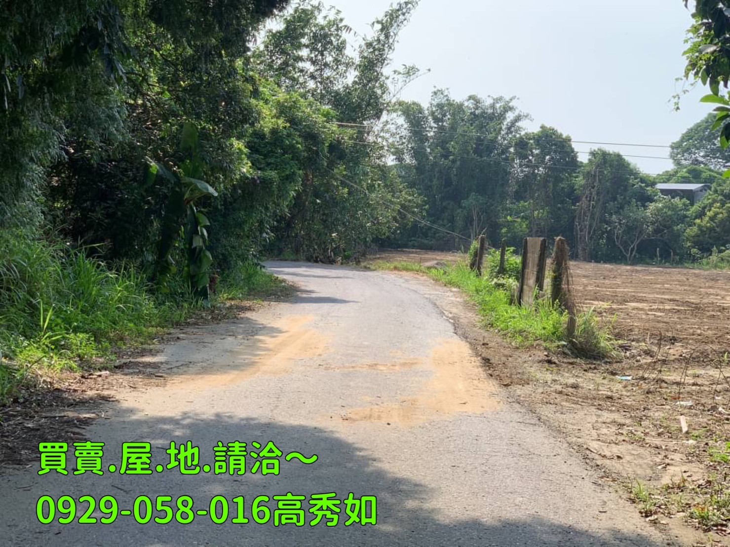 竹崎灣橋農地